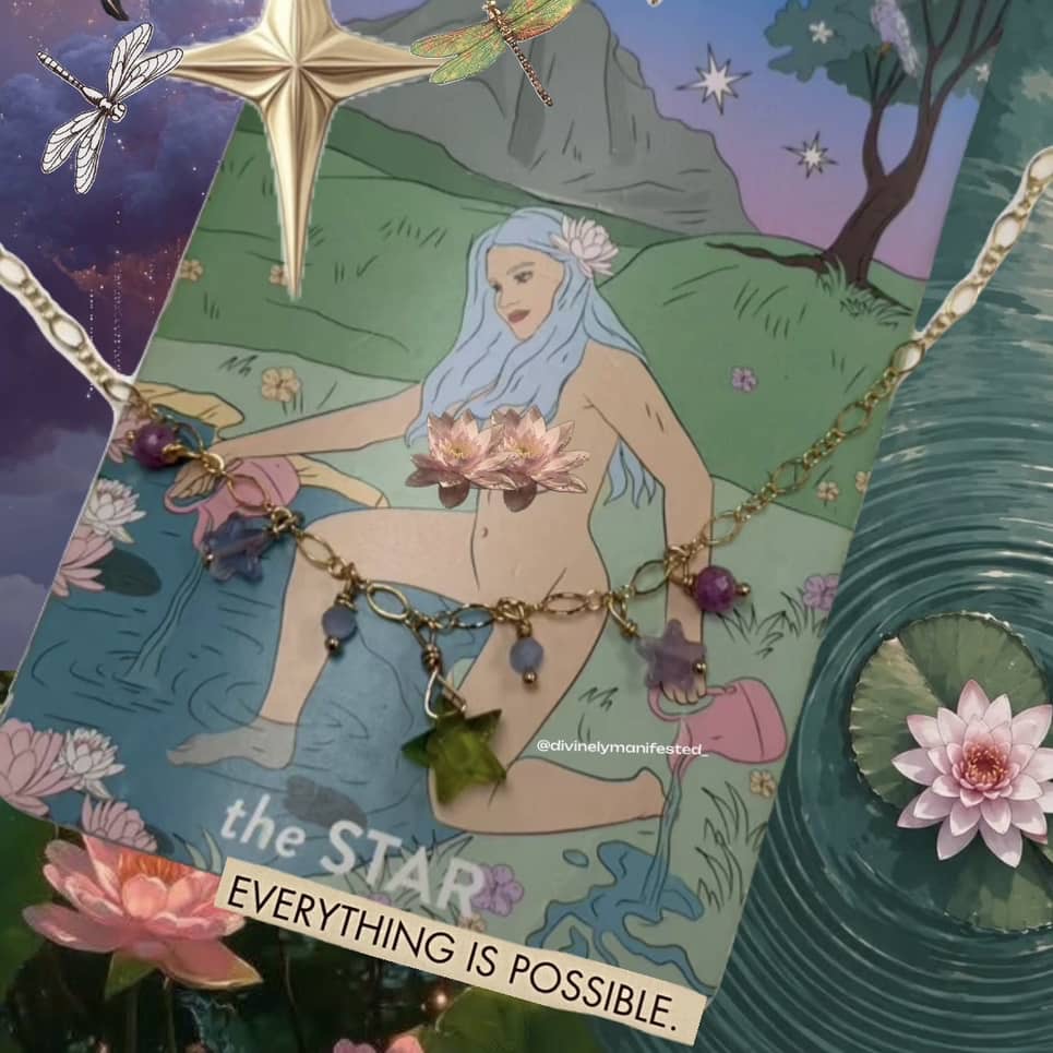 The Star Evolution